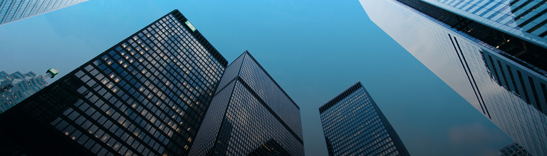 �������Ź�������