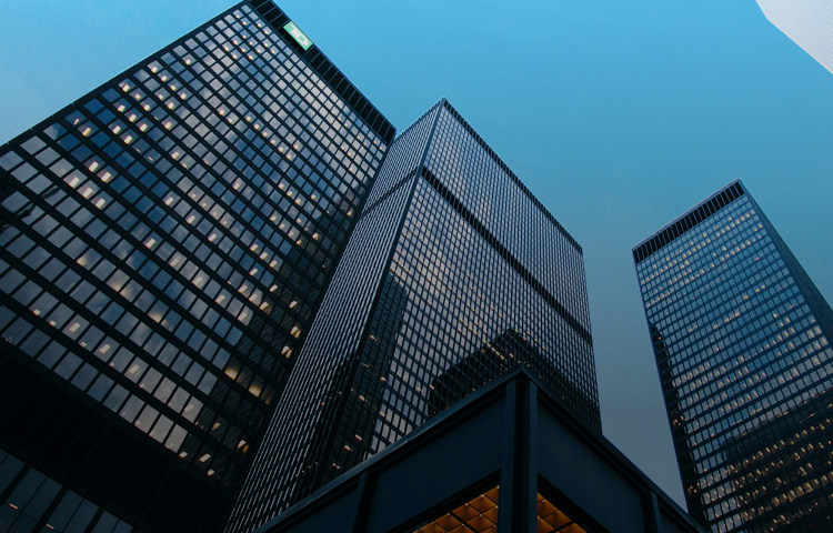 �������Ź�������